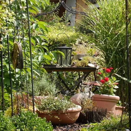 Gemuetliche Ferienwohnung In Eichhagen Mit Grill, Terrasse Und Garten